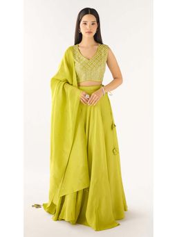 Basanti Kapde aur Koffee - Lime Tissue Embroidered Lehenga with Blouse and Dupatta
