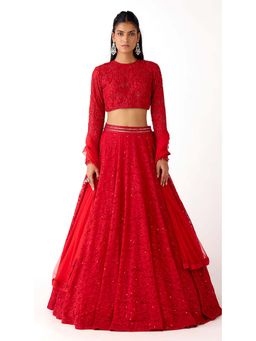 Basanti Kapde aur Koffee - Red Chantilly Net Embroidered Lehenga with Blouse and Dupatta