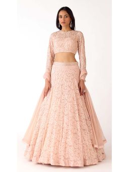 Basanti Kapde aur Koffee - Peach Chantilly Net Embroidered Lehenga with Blouse and Dupatta