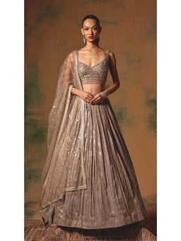 Basanti Kapde aur Koffee - The Champagne Glow Lehenga with Blouse and Dupatta