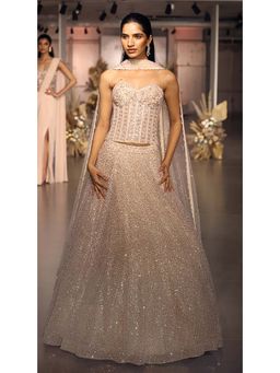 Basanti Kapde aur Koffee - The Rose Champagne Lehenga with Corset Blouse and Dupatta