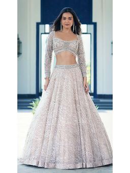 Basanti Kapde aur Koffee - Beige Embroidered Net Lehenga with Blouse and Dupatta