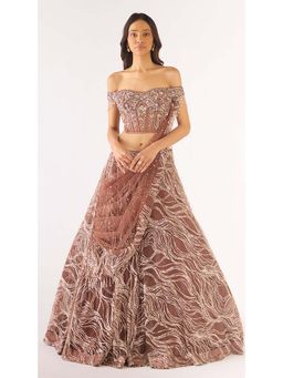 Basanti Kapde aur Koffee - Brown Soft Net Embroidered Lehenga with Blouse and Dupatta