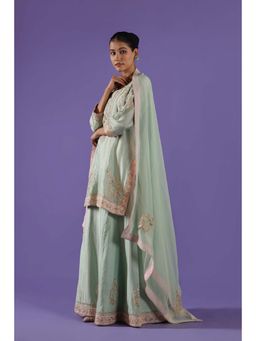 Label Radini - Mrunali Sharara with Kurta and Dupatta - Blue