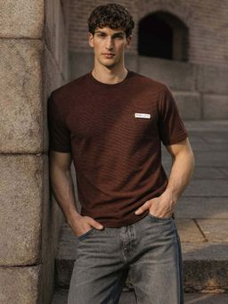 The Indian Garage Co - Brown Men Relaxed Fit Solid Crew Neck Half Sleeves T-Shirt