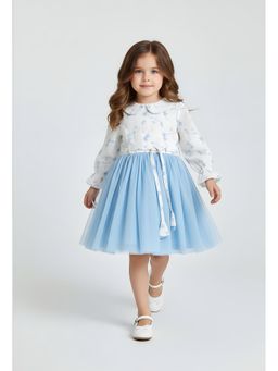 Bella Moda - Net Full Sleeves Embroidered Party Dress-Blue