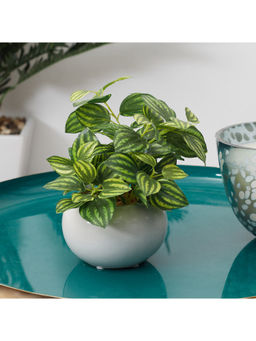 HomeTown - Ilana Faux Peperomia Ceramic Potted Plant 17 Cm in Green Colour