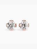 Rose Gold color option