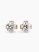 Rose Gold color option