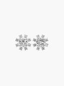 Silver color option, Currently selected