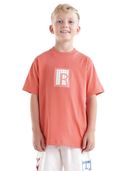 Peach color option, Currently selected