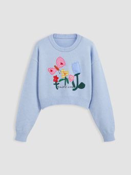 Cider - Knit Round Neckline Butterfly & Flower Applique Crop Top