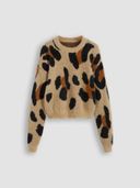 Brown color option, Currently selected