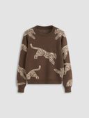 Brown color option, Sold out
