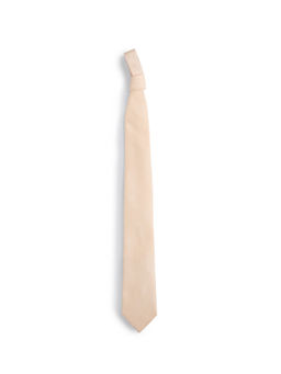 Arrow - Men Beige Textured Pattern Tie