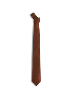 Arrow - Men Rust Solid Polyester Tie
