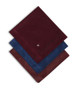 Arrow - Men Multi-Color Striped Border Cotton Handkerchiefs (Pack of 3)