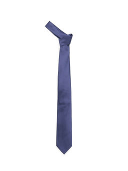Arrow - Blue Solid Polyester Tie