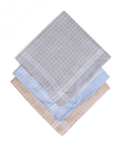 Arrow - Men Multi-Color Pure Cotton Handkerchiefs (Pack of 3)