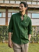 Green color option, Currently selected