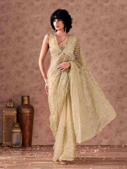 Tikhi Imli - Beige Embellished Sequined Net Saree with Unstitched Blouse