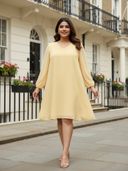 Yellow color option, Currently selected