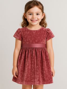 ZIP ZAP ZOOP - Pink Velvet Round Neck Half Sleeve Bow Embellished Dress