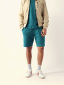 Turquoise color option, Currently selected