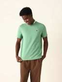 Green color option, Currently selected