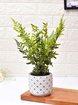 Tayhaa - Diamon Patterned Pot with Artificial Fern