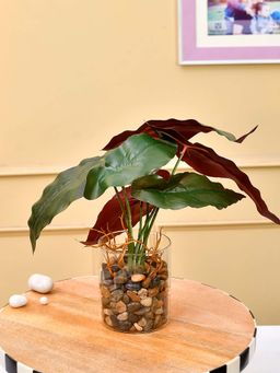 Tayhaa - Transparent Glass Planter with Artificial Begonia Plant