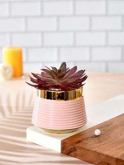 Tayhaa - Vibrant Planter with Crimson Artificial Succulent Flower