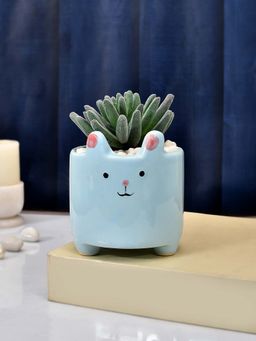 Tayhaa - Petite Greens with Cute Cartoon Planter