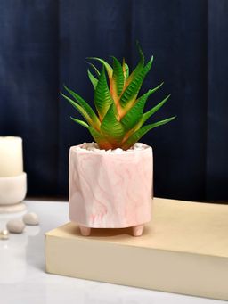 Tayhaa - Citrus Delight Artificial Succulent with Pink Planter