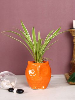 Tayhaa - Orange Owl Shaped Planter
