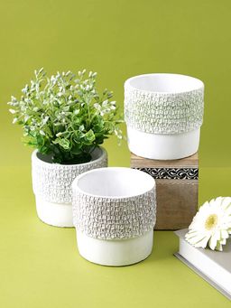 Tayhaa - Planters with Textured Effects (Set Of 3)