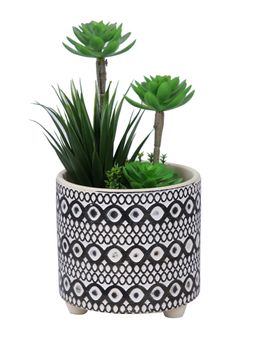 Tayhaa - Swirl and Geometric Design Planter