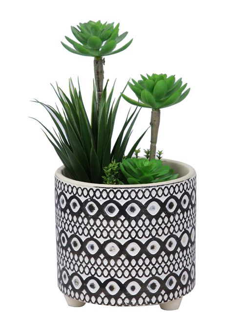Tayhaa Swirl and Geometric Design Planter