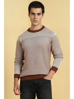 Allen Solly - Beige Solid Regular Fit Sweater