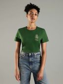 Green color option, Currently selected