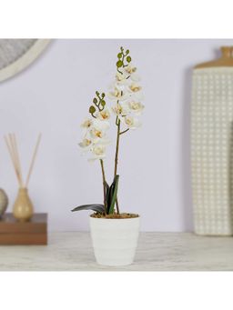 HomeTown - Ilana Artificial Orchid Potted Plant 40 cm In White Colour