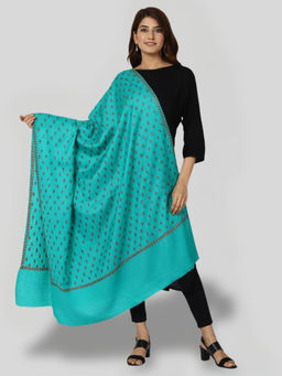 SWI STYLISH - Women's Sea Green Hand Embroidered Pure Wool Shawl