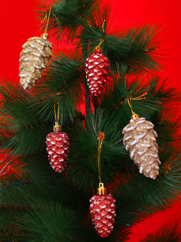 Tayhaa - Glitter & Scarlet Splendor Pinecones Ornaments (Pack Of 5)