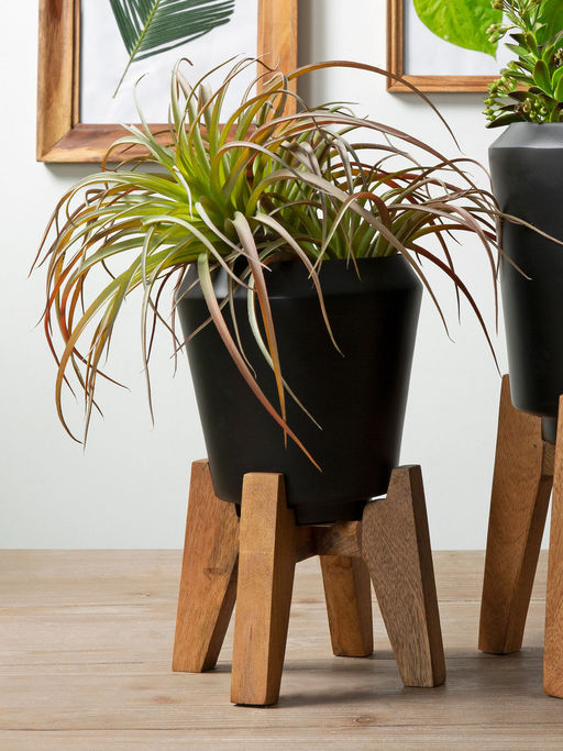 IAAH Home Black Urn Planter