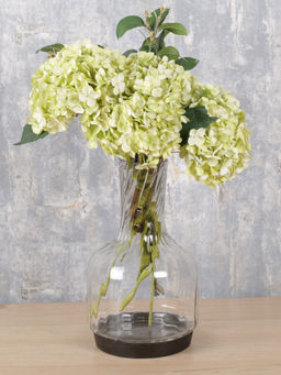 IAAH - Botanical Clear Vase