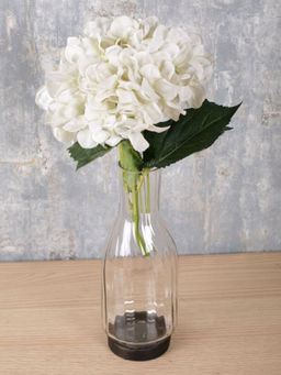 IAAH - Transparent Botanical Vase