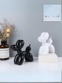 White color option, Sold out