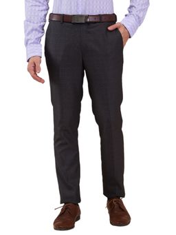 Park Avenue - Men Dark Grey Regular Fit Checked Polyester Blend Pant