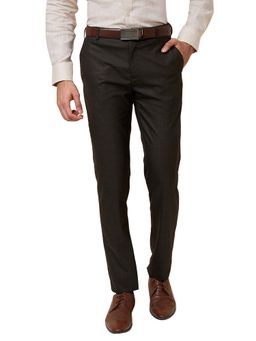 Raymond - Men Brown Slim Fit Polyester Blend Checked Pant