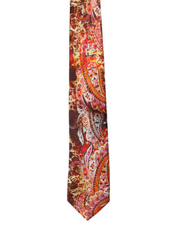 Alvaro Castagnino - Mens 100 Percent Microfiber Necktie